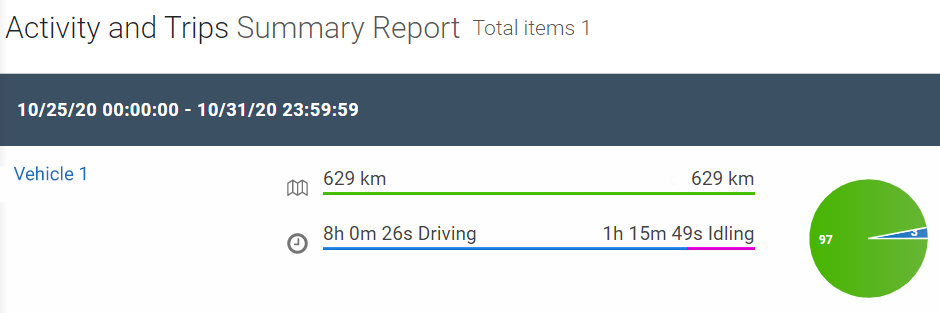 Activity_and_Trips_Summary_Report.png
